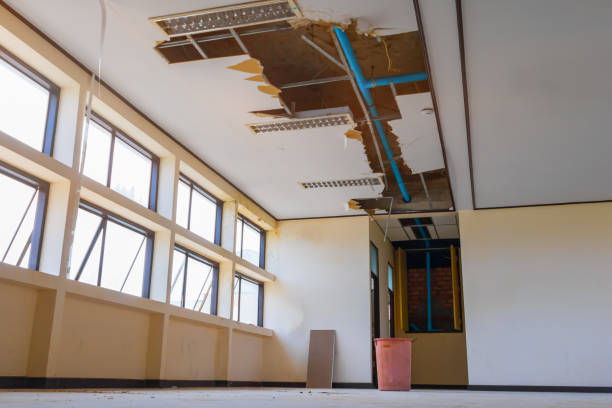 Best Flood restoration services  in Happy Valley, OR