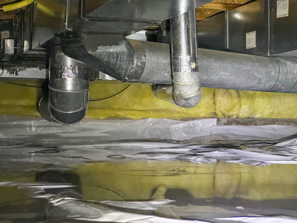 Best Carpet water damage restoration  in Happy Valley, OR