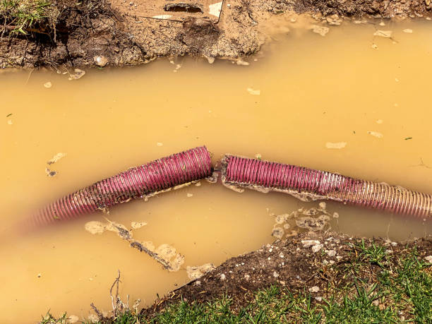 Best Water damage contractors near me  in Happy Valley, OR